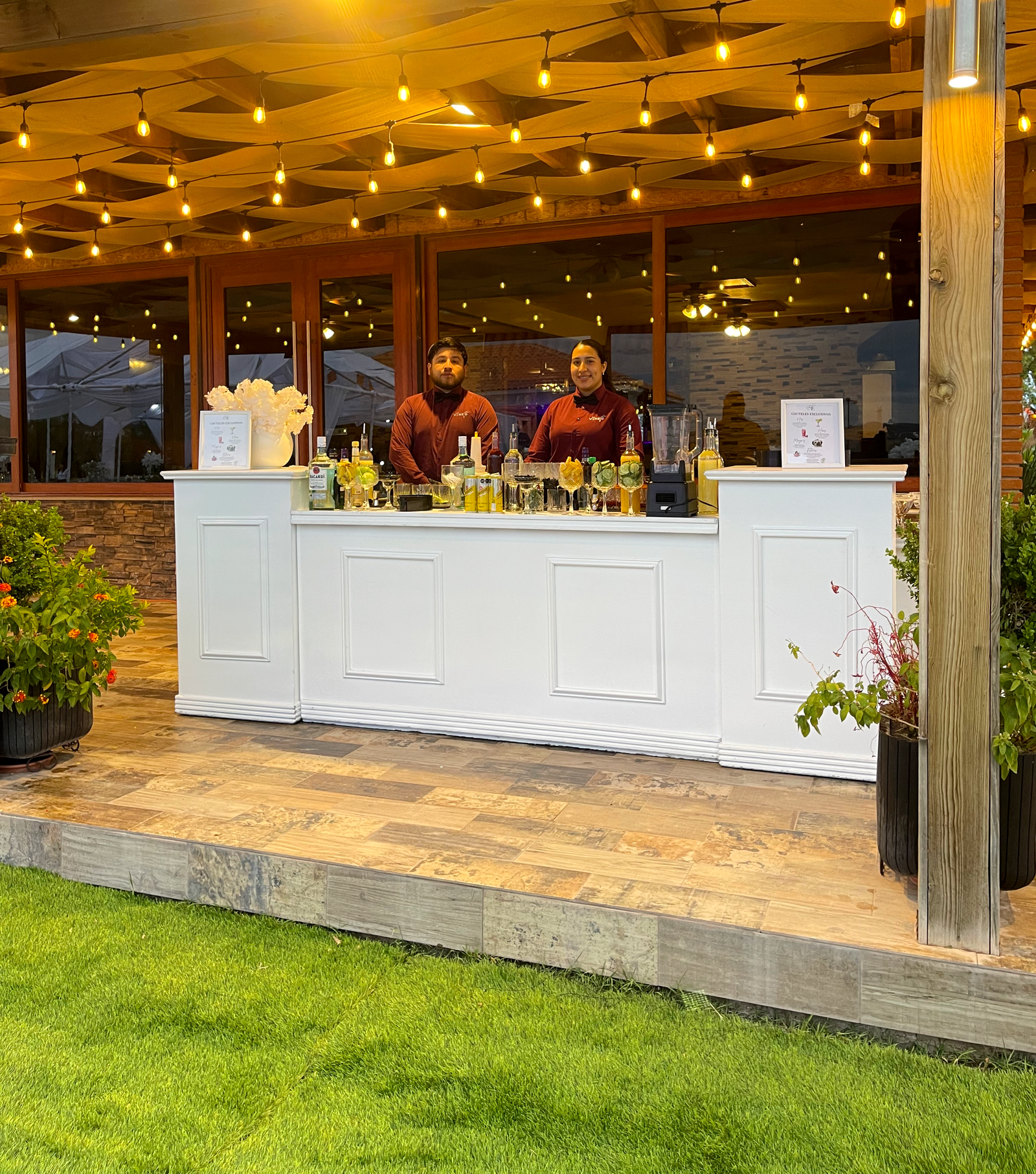 Bar Vynzo en carpa al atardecer